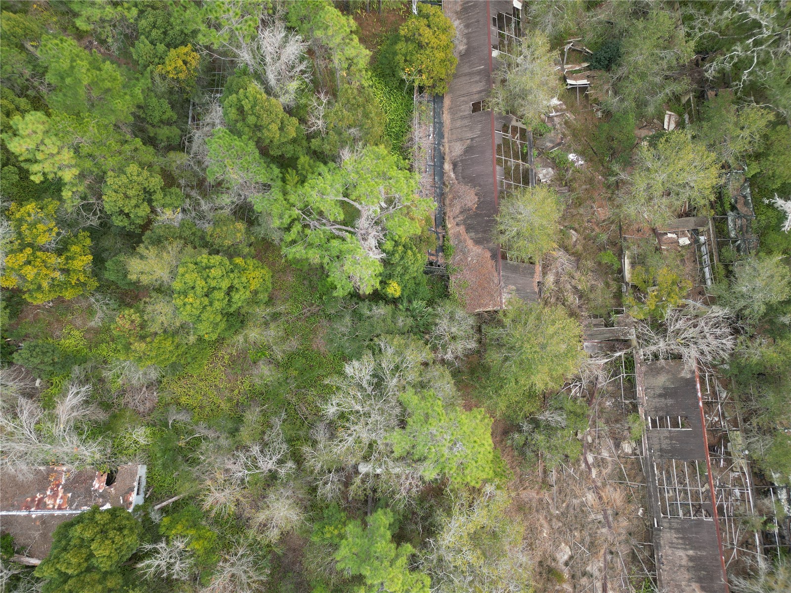 36242 County Road 439 Eustis FL 32736 G5106691 image4