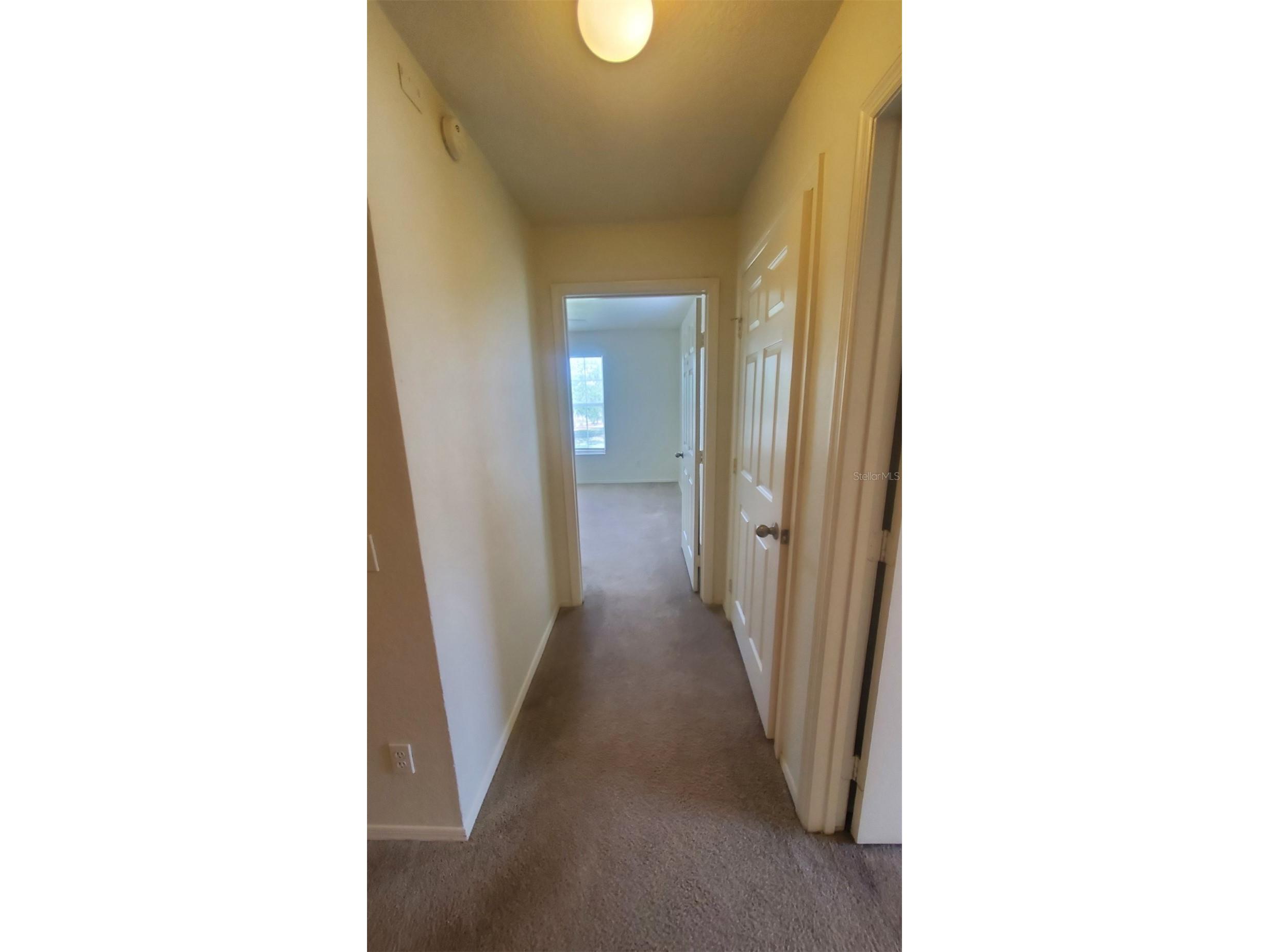 36243 Lake Chase Boulevard #203 Zephyrhills FL 33541 TB8506943 image16