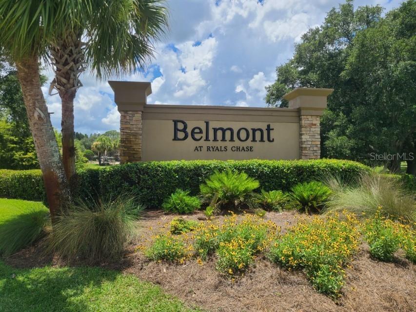 36243 Lake Chase Boulevard #203 Zephyrhills FL 33541 TB8506943 image26