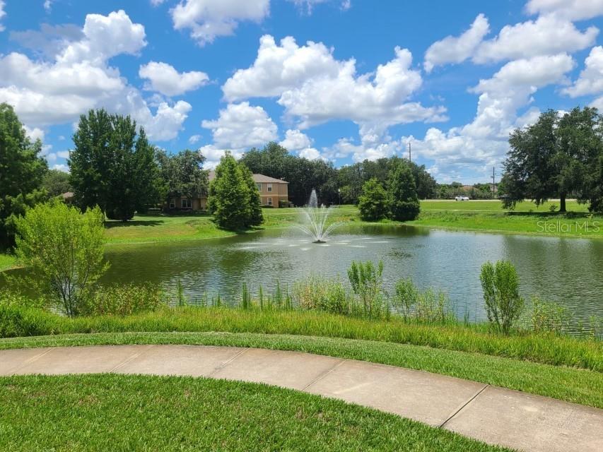 36243 Lake Chase Boulevard #203 Zephyrhills FL 33541 TB8506943 image28