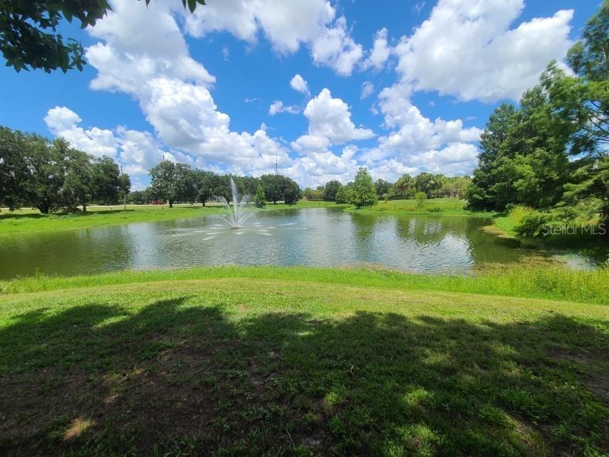 36243 Lake Chase Boulevard #203 Zephyrhills FL 33541 TB8506943 image29