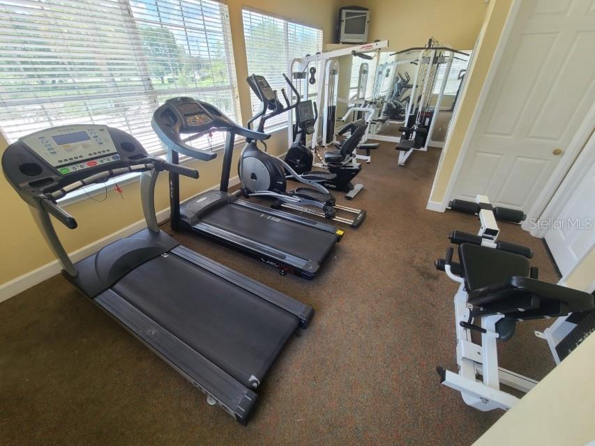 36243 Lake Chase Boulevard #203 Zephyrhills FL 33541 TB8506943 image36