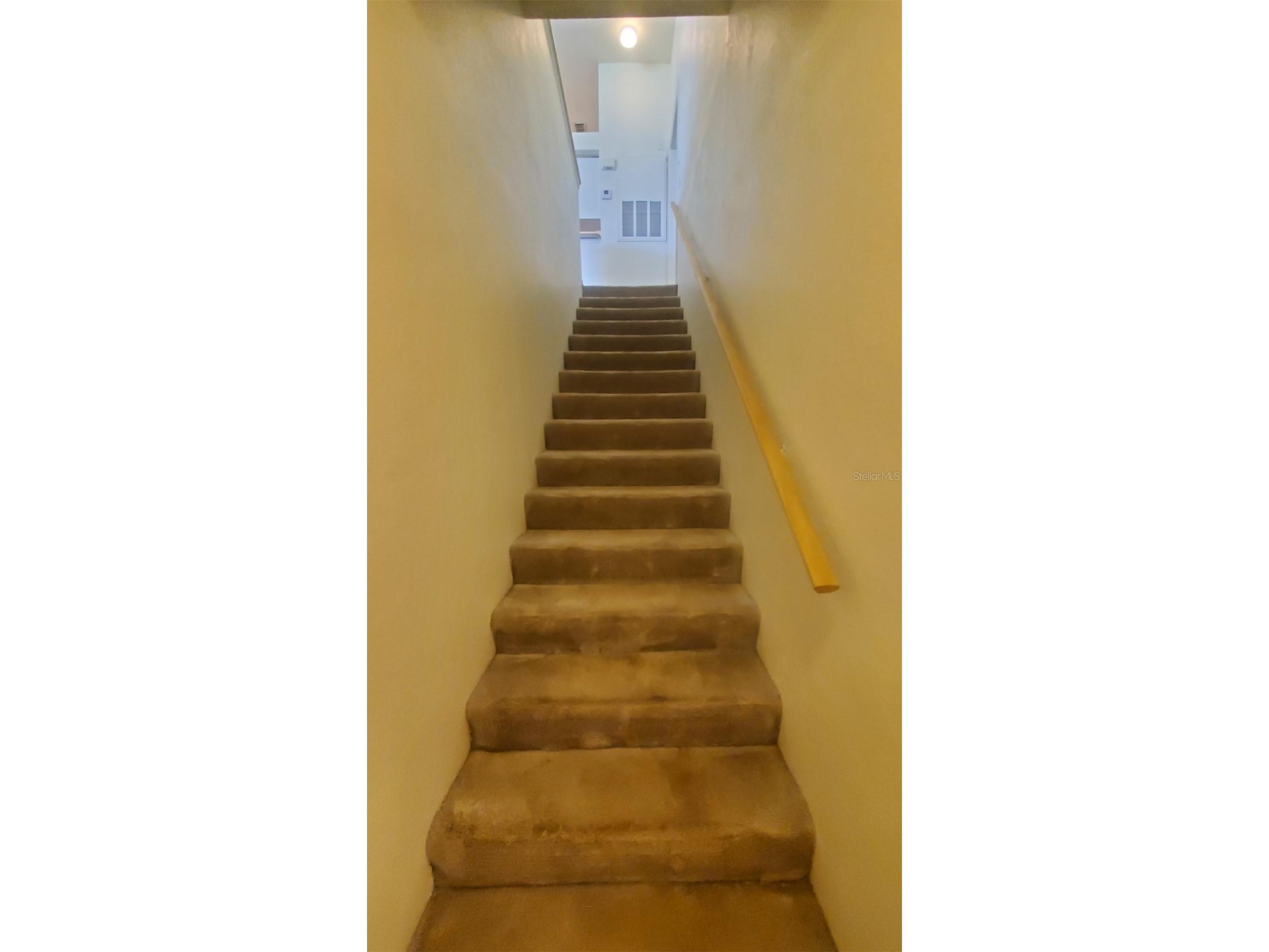 36243 Lake Chase Boulevard #203 Zephyrhills FL 33541 TB8506943 image5