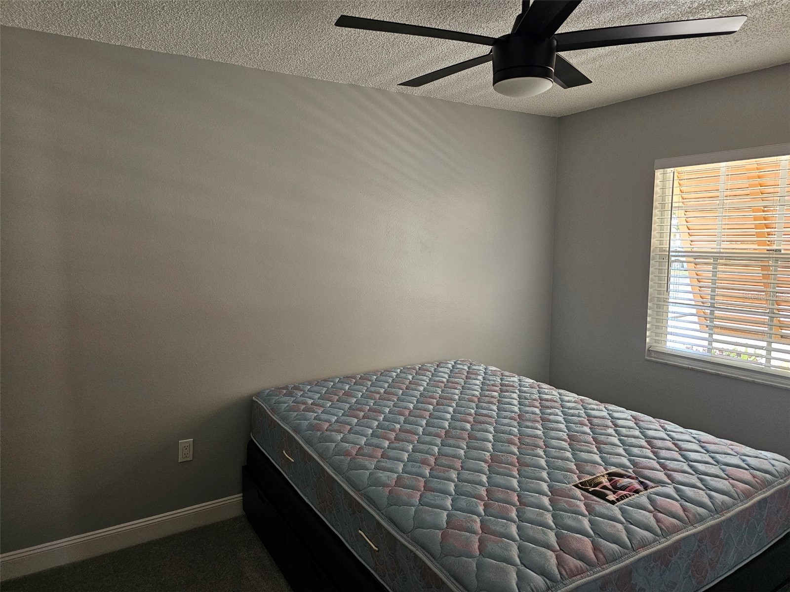 3625 57th Avenue Drive W Bradenton FL 34210 A4697151 image26