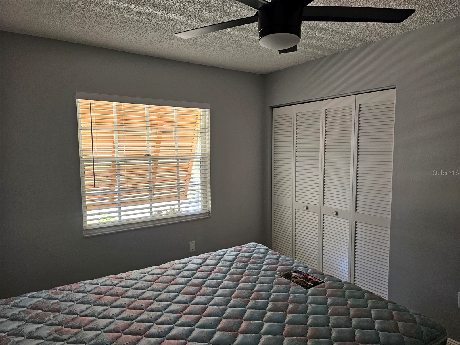 3625 57th Avenue Drive W Bradenton FL 34210 A4697151 image27
