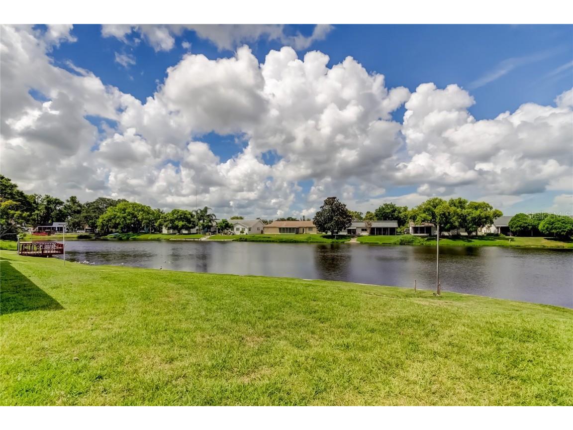 3625 Delta Place Holiday FL 34691 TB8418711 image46