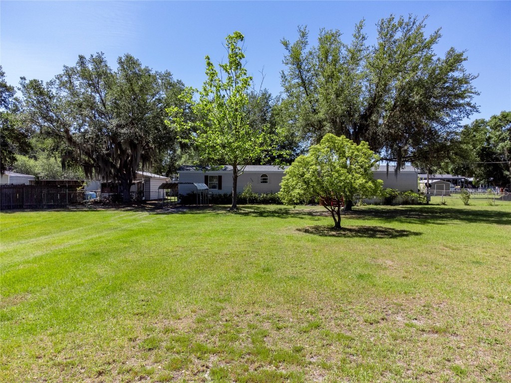 3625 Porter Road Lithia FL 33547 T3519776 image1