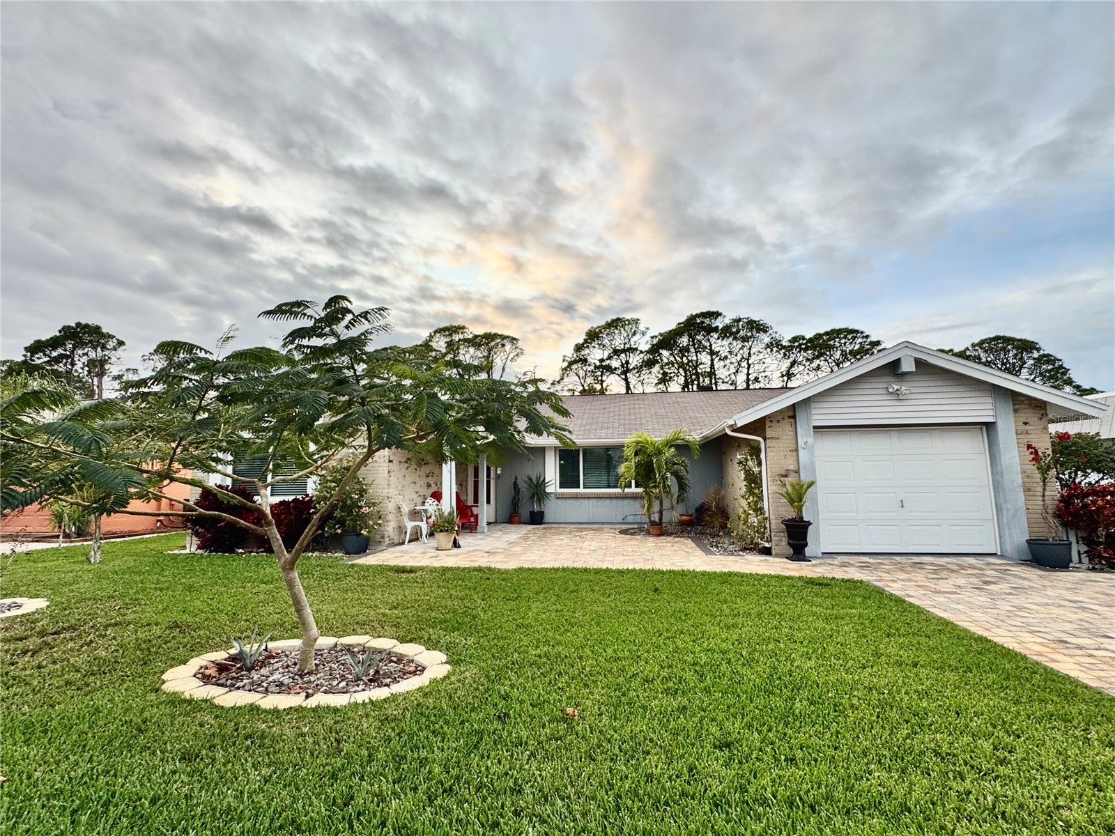 3625 Richboro Drive Holiday FL 34691 TB8463808 image1