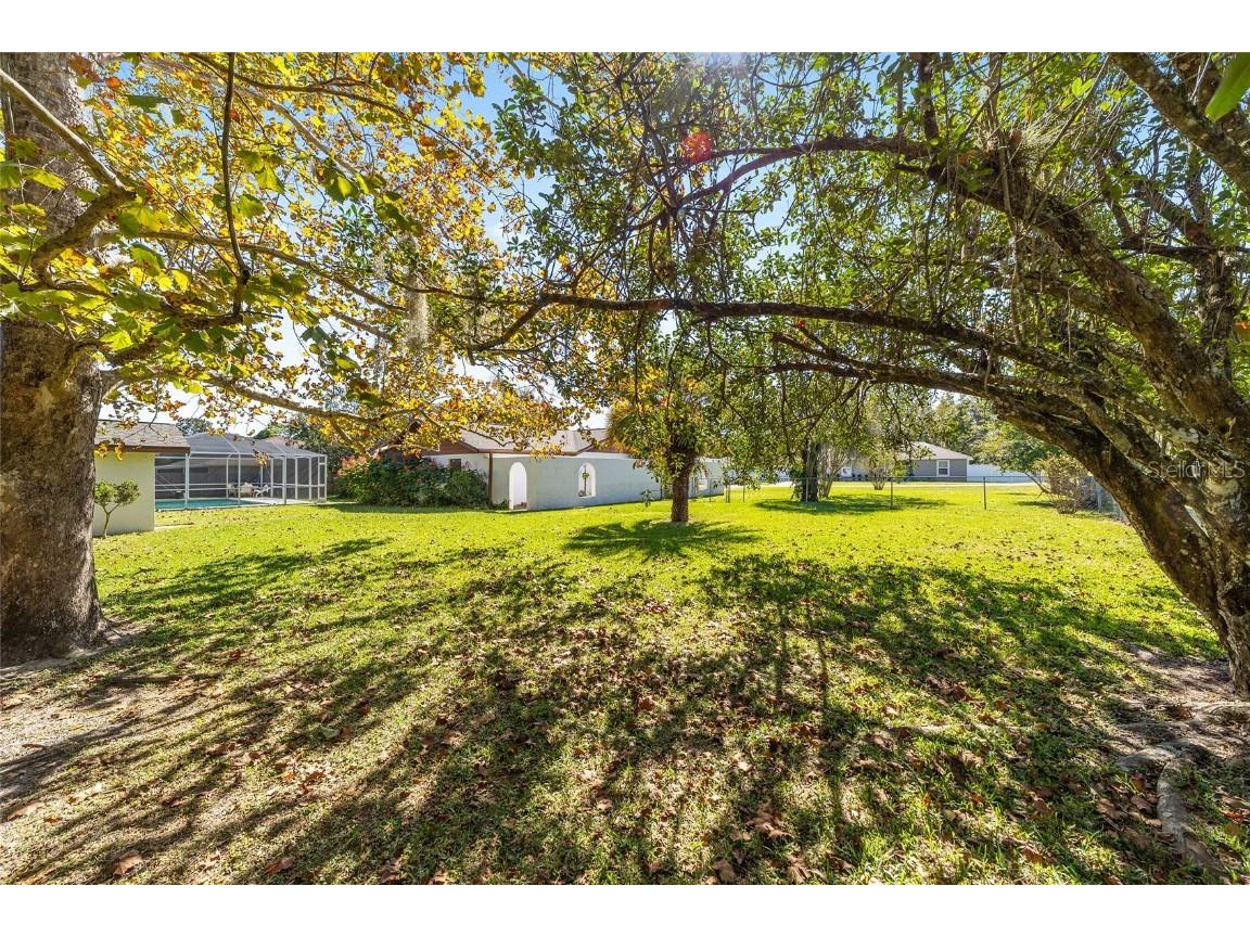 3625 SE 137th Street Summerfield FL 34491 OM712732 image61