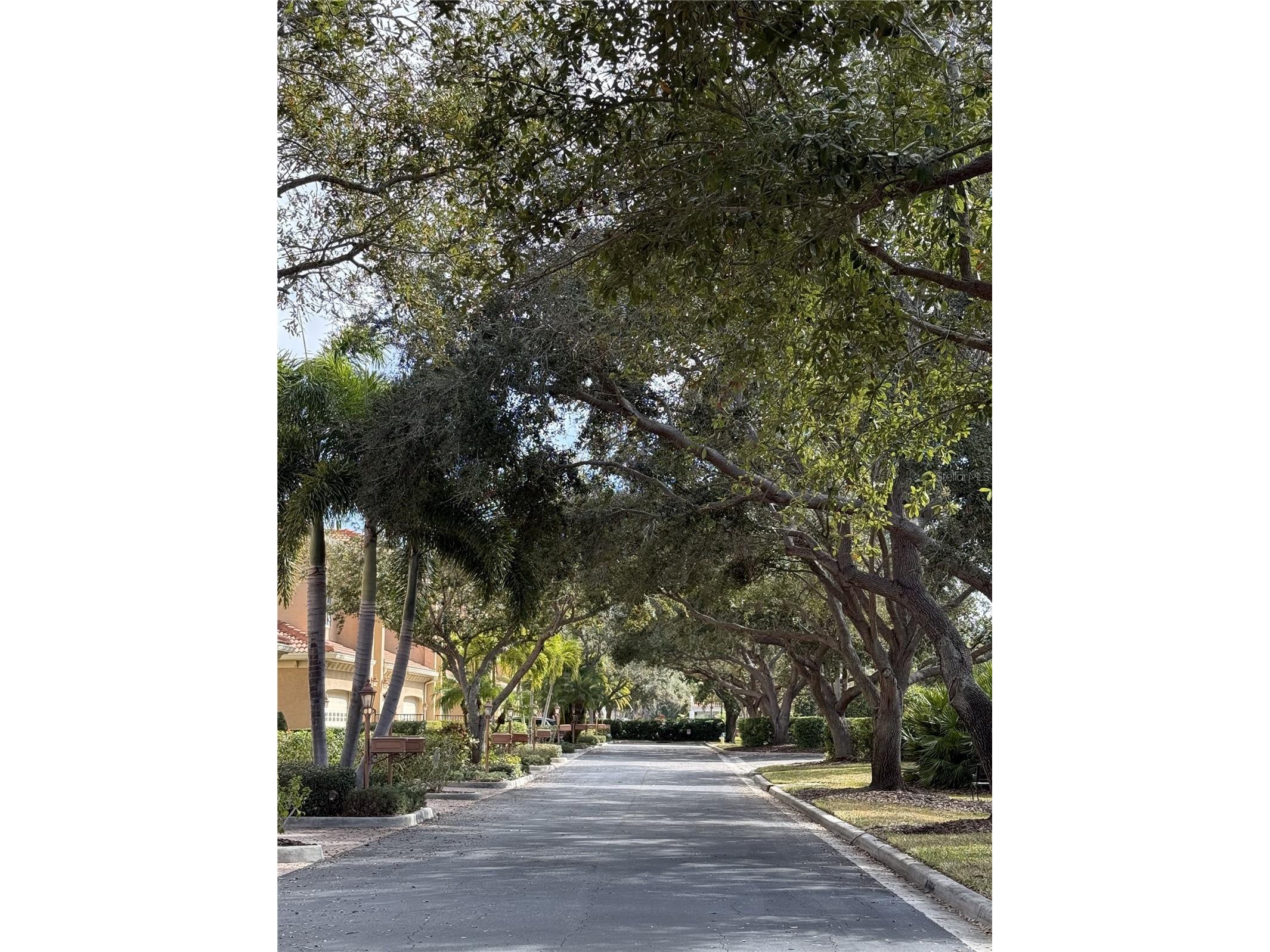 3625 Square West Lane #4 Sarasota FL 34238 A4689352 image46
