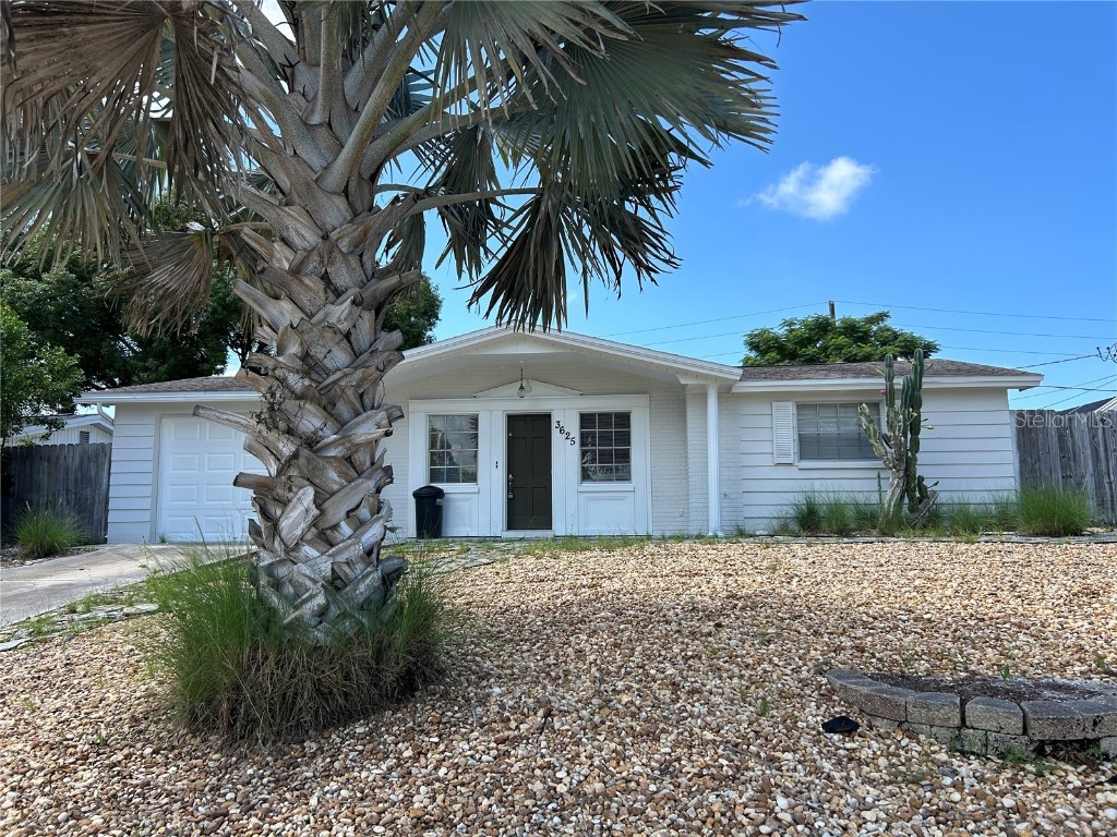 3625 Windham Drive Holiday FL 34691 TB8454487 image2