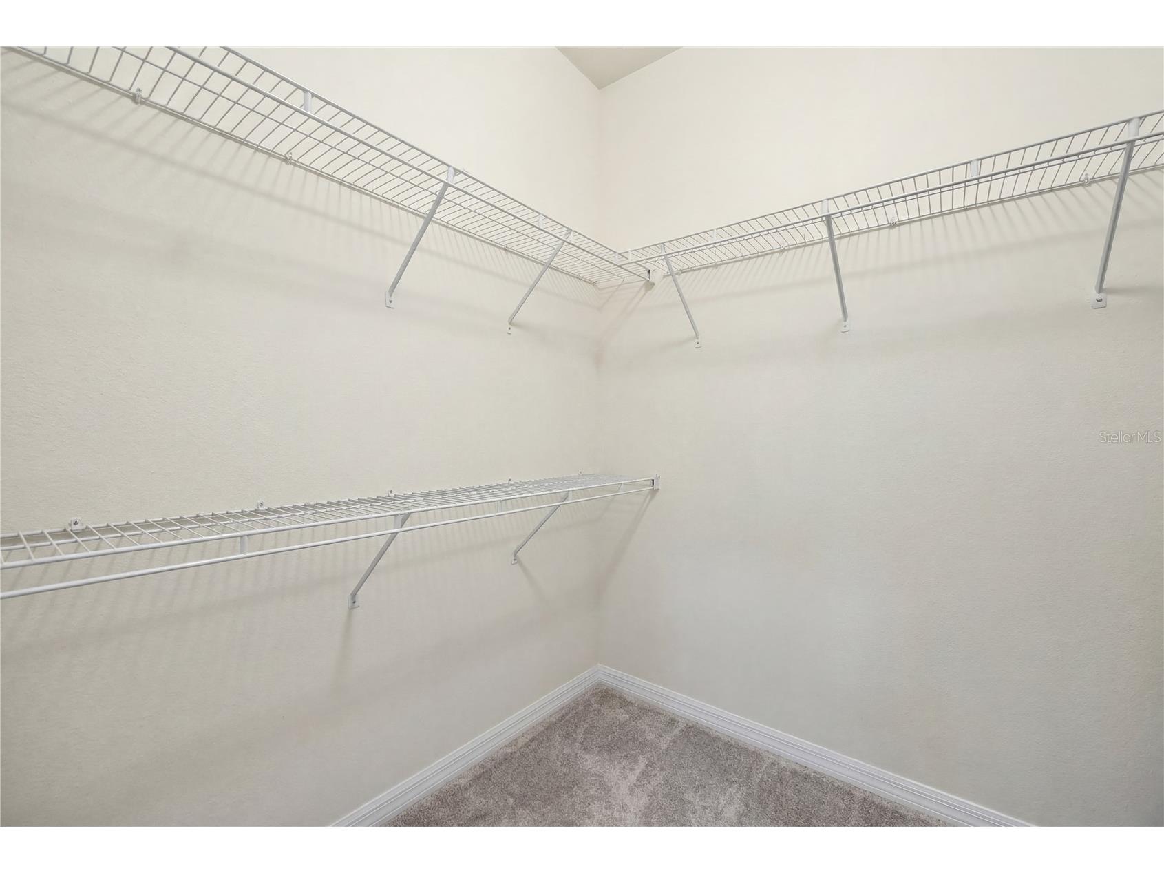 36250 Jenny Lynne Circle Zephyrhills FL 33541 TB8525619 image20