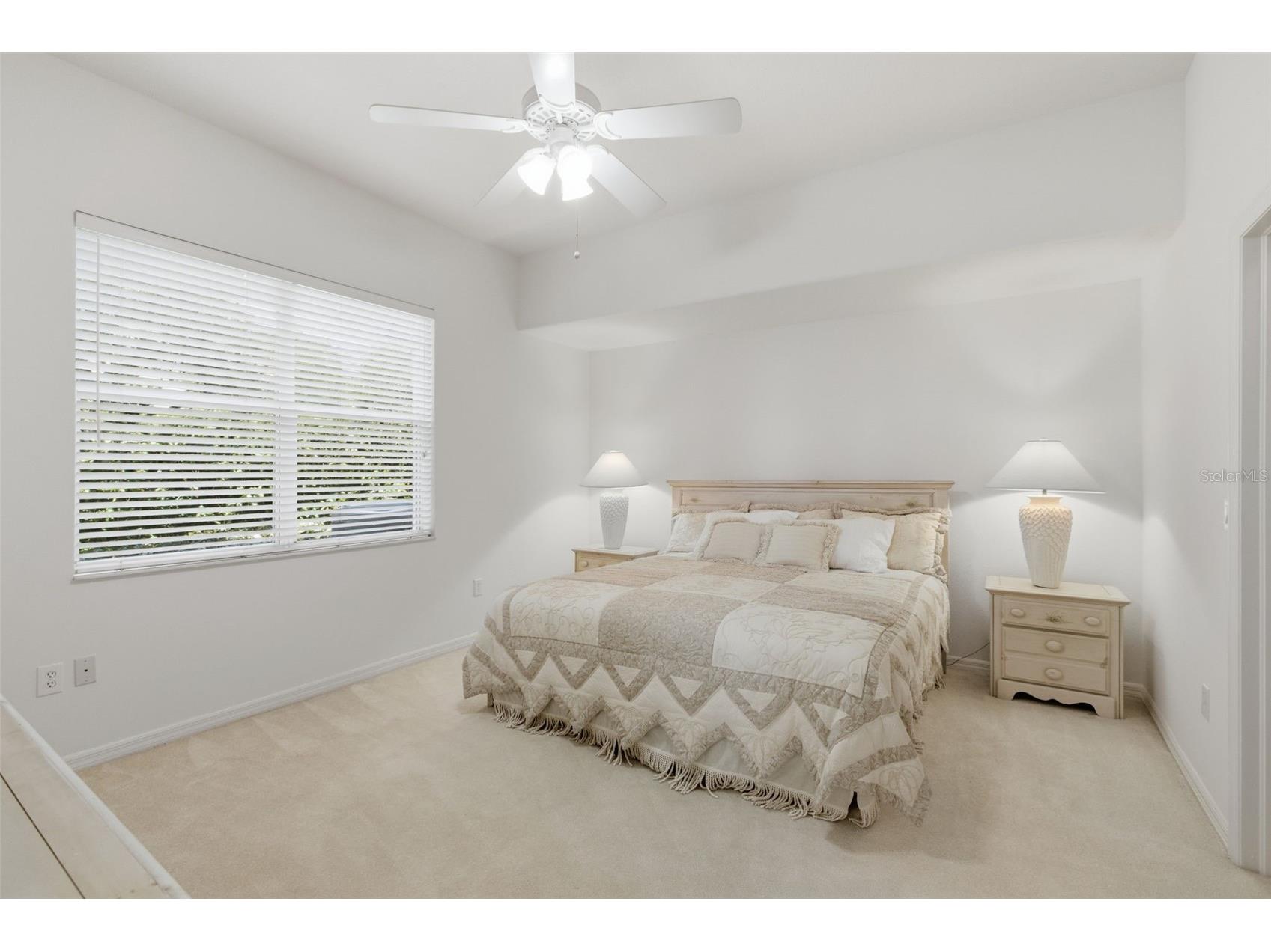 3626 Swans Landing Drive Land O Lakes FL 34639 - LAKE PADGETT TB8505584 image24