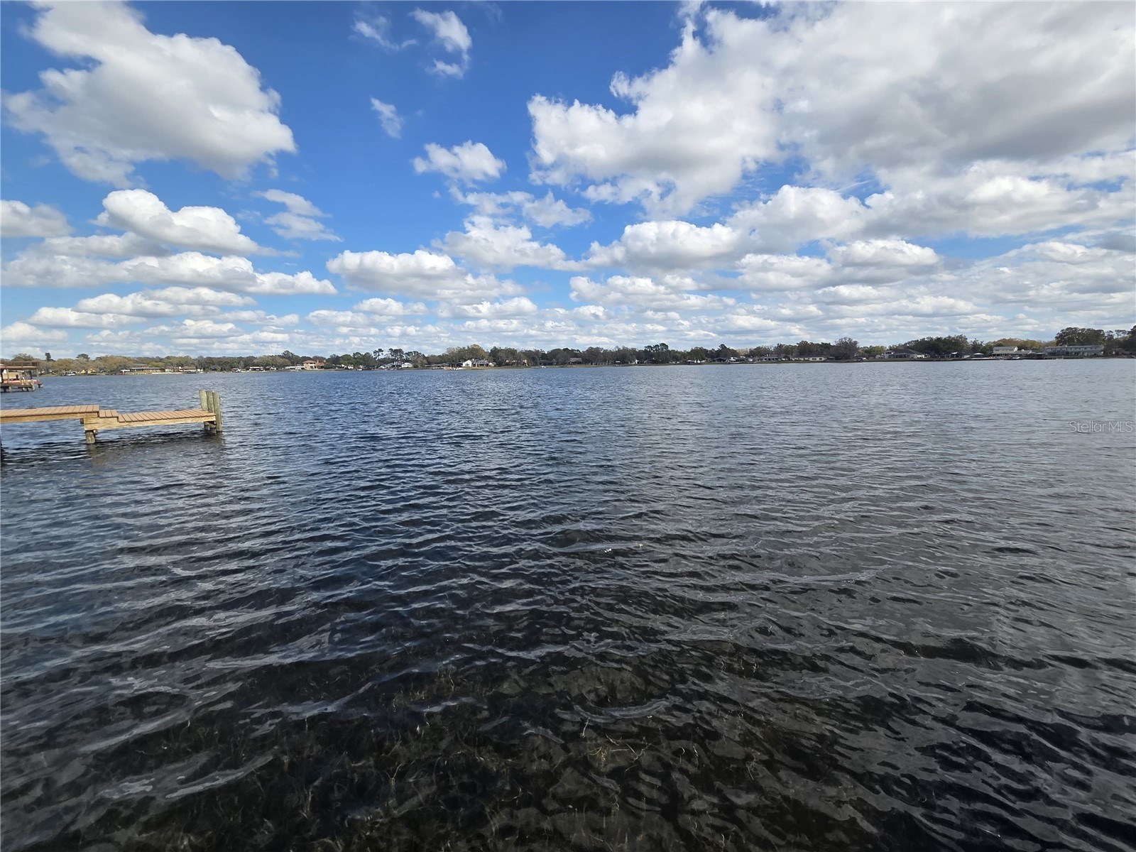 3626 Swans Landing Drive Land O Lakes FL 34639 - LAKE PADGETT TB8505584 image31