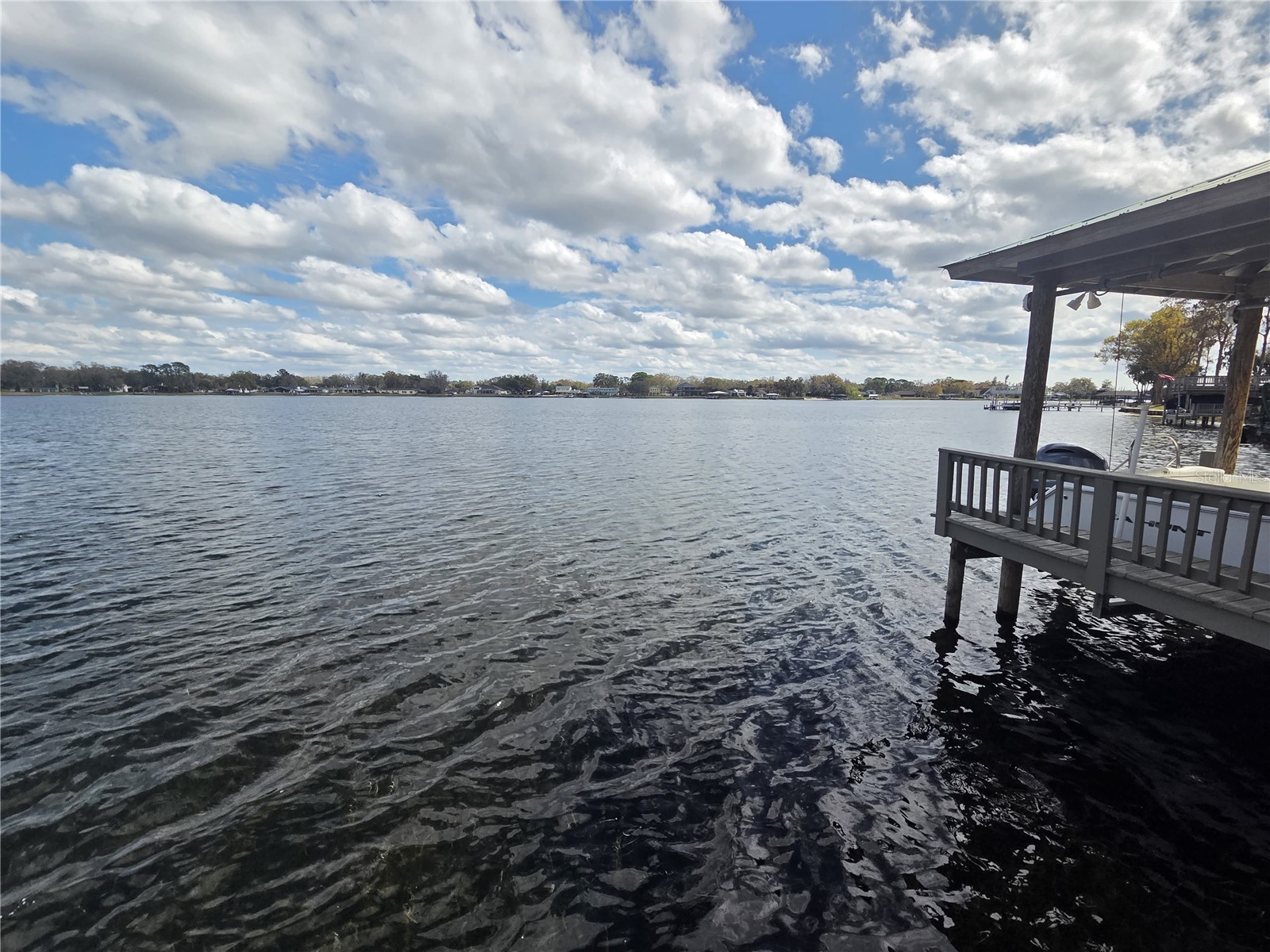 3626 Swans Landing Drive Land O Lakes FL 34639 - LAKE PADGETT TB8505584 image32