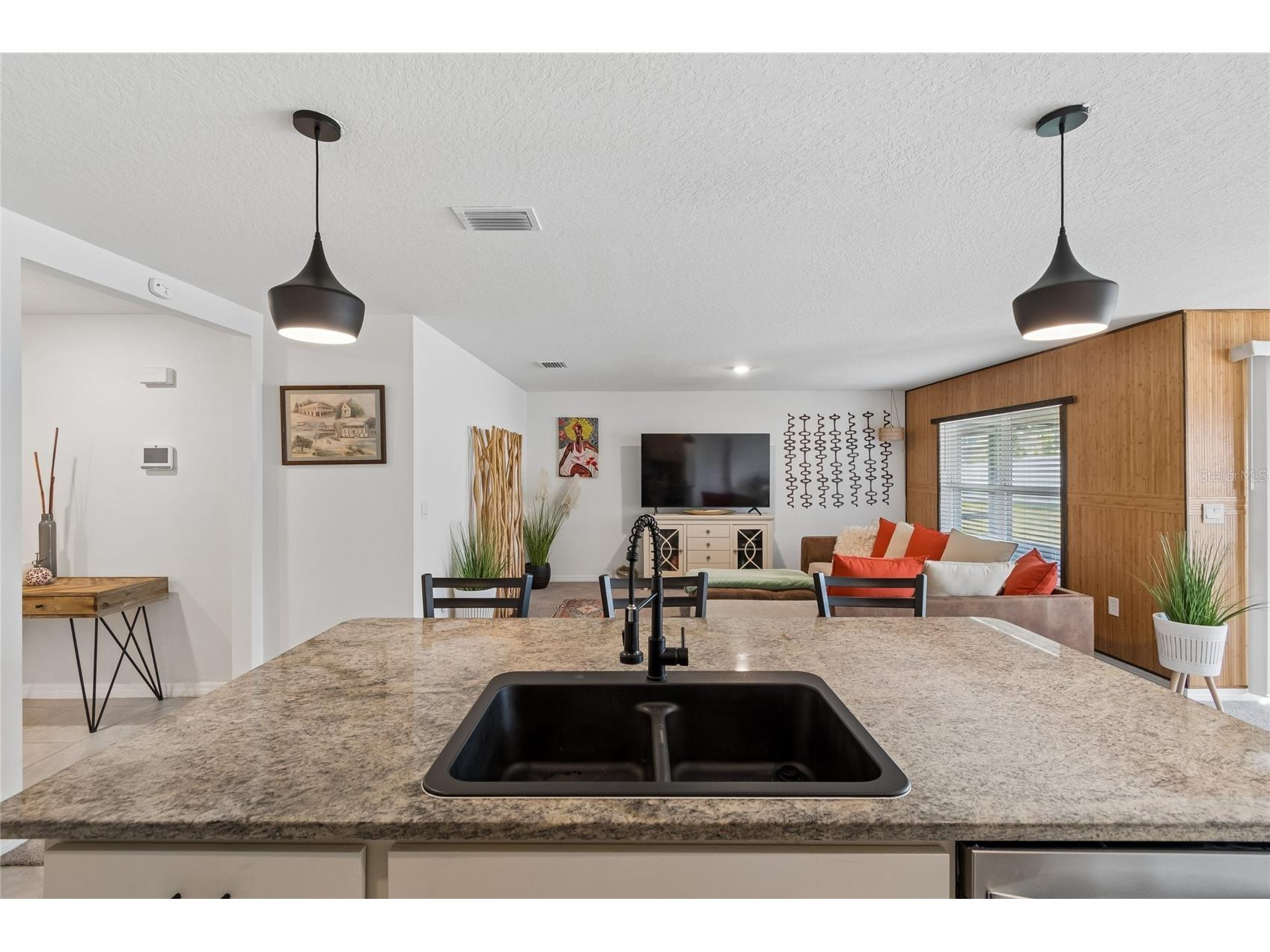 36263 Spanish Rose Drive Dade City FL 33525 TB8485344 image17