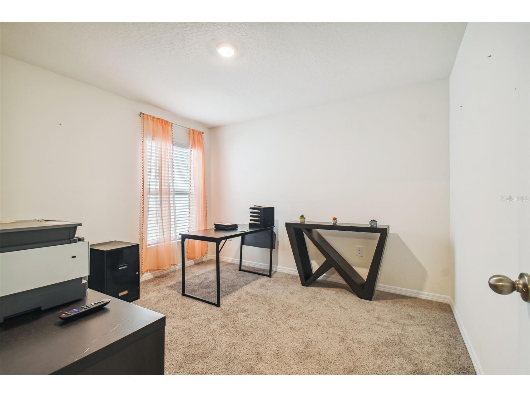 36263 Spanish Rose Drive Dade City FL 33525 TB8485344 image41