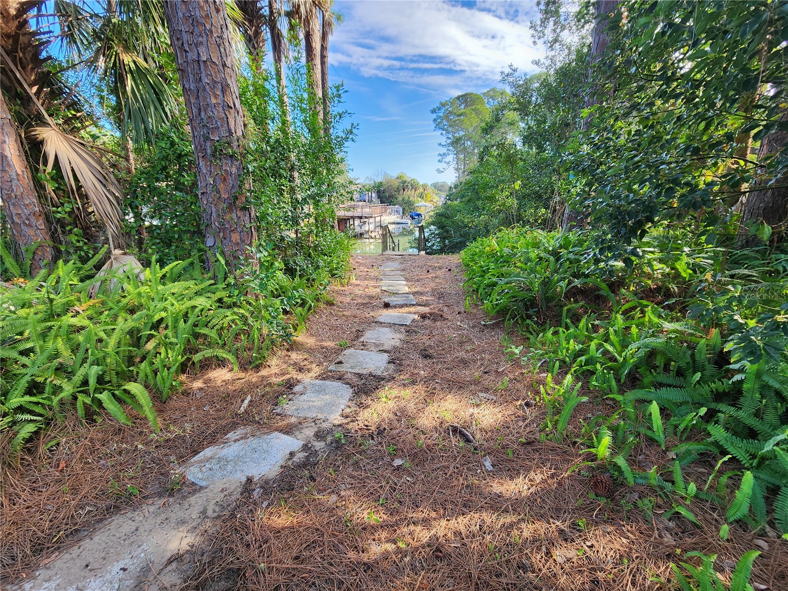 3627 Canal Road Edgewater FL 32141 NS1087254 image5