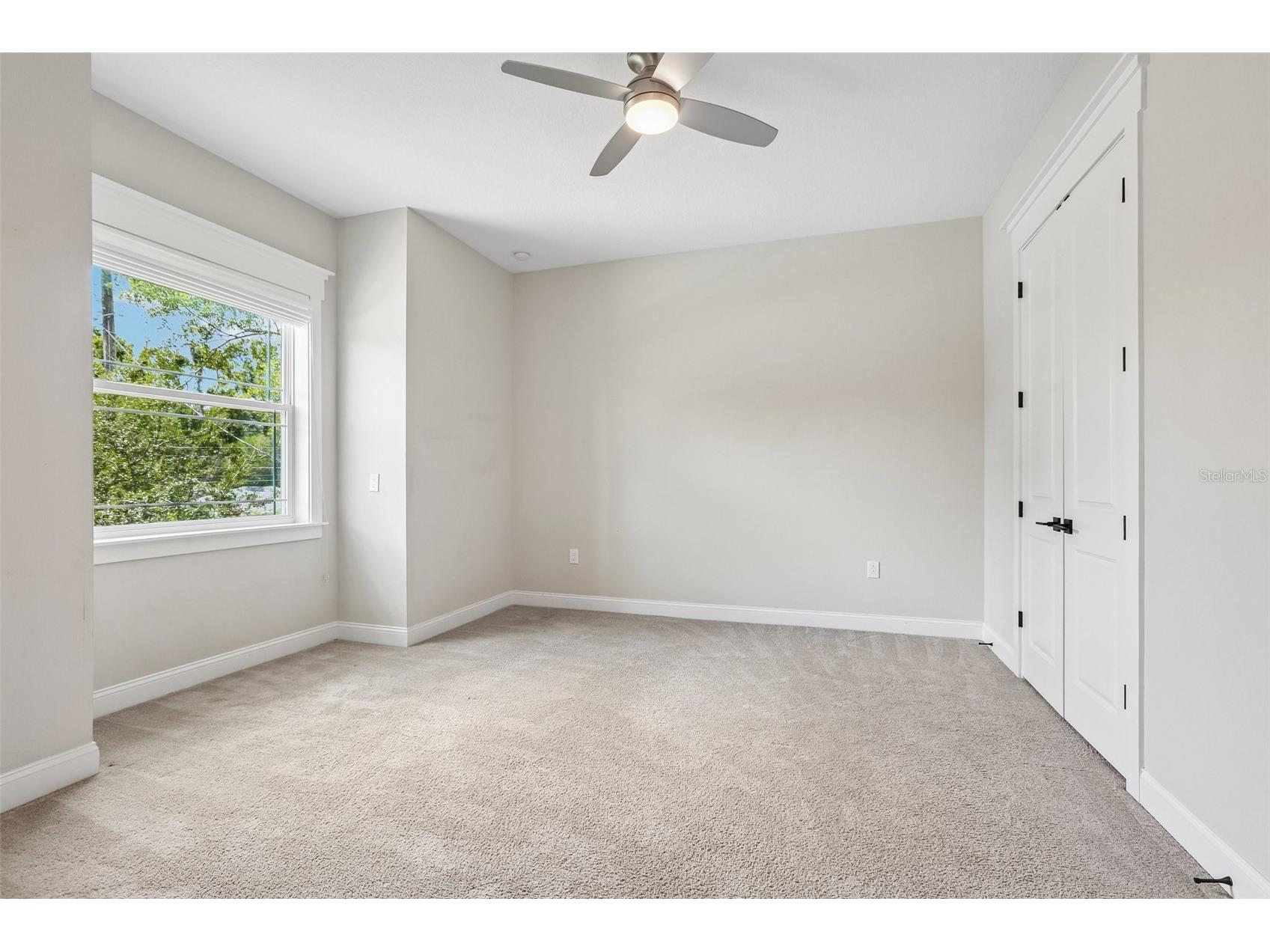 3627 E Clark Circle Tampa FL 33629 TB8517152 image35