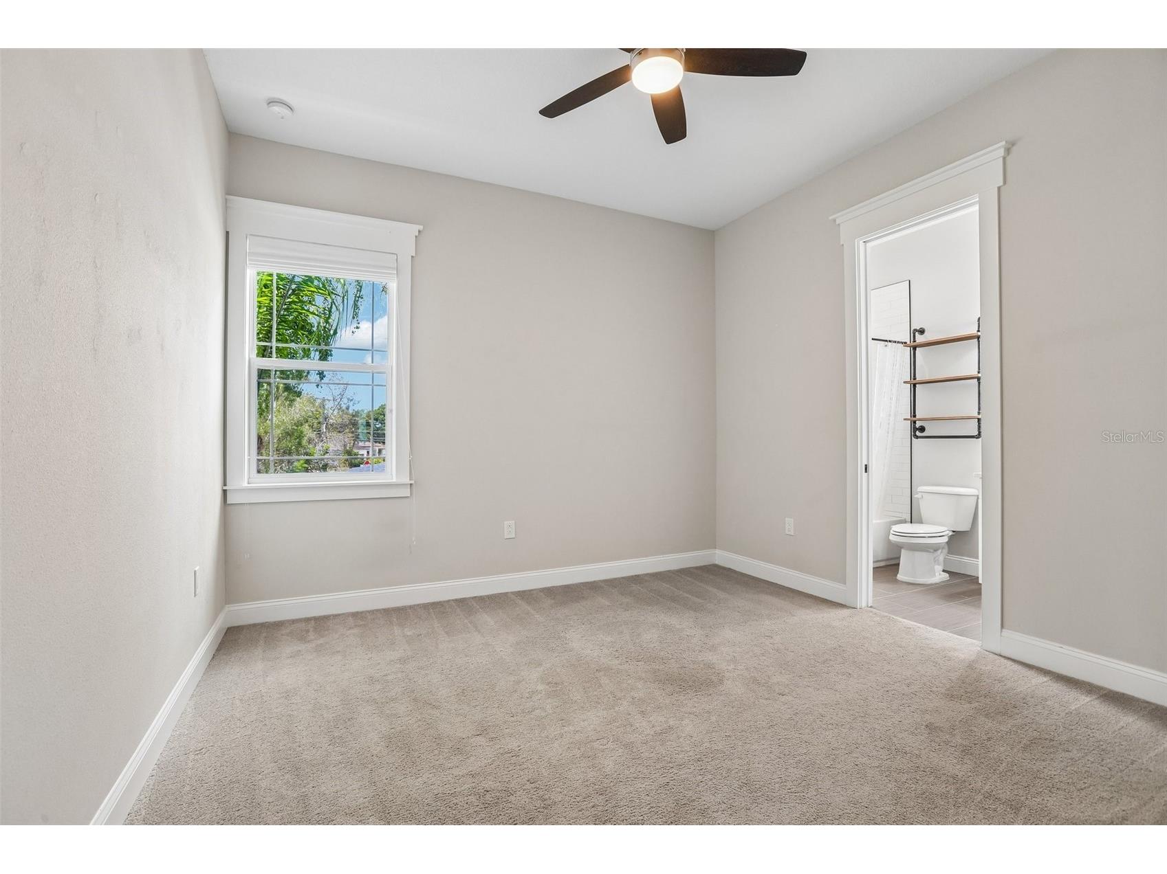 3627 E Clark Circle Tampa FL 33629 TB8517152 image37