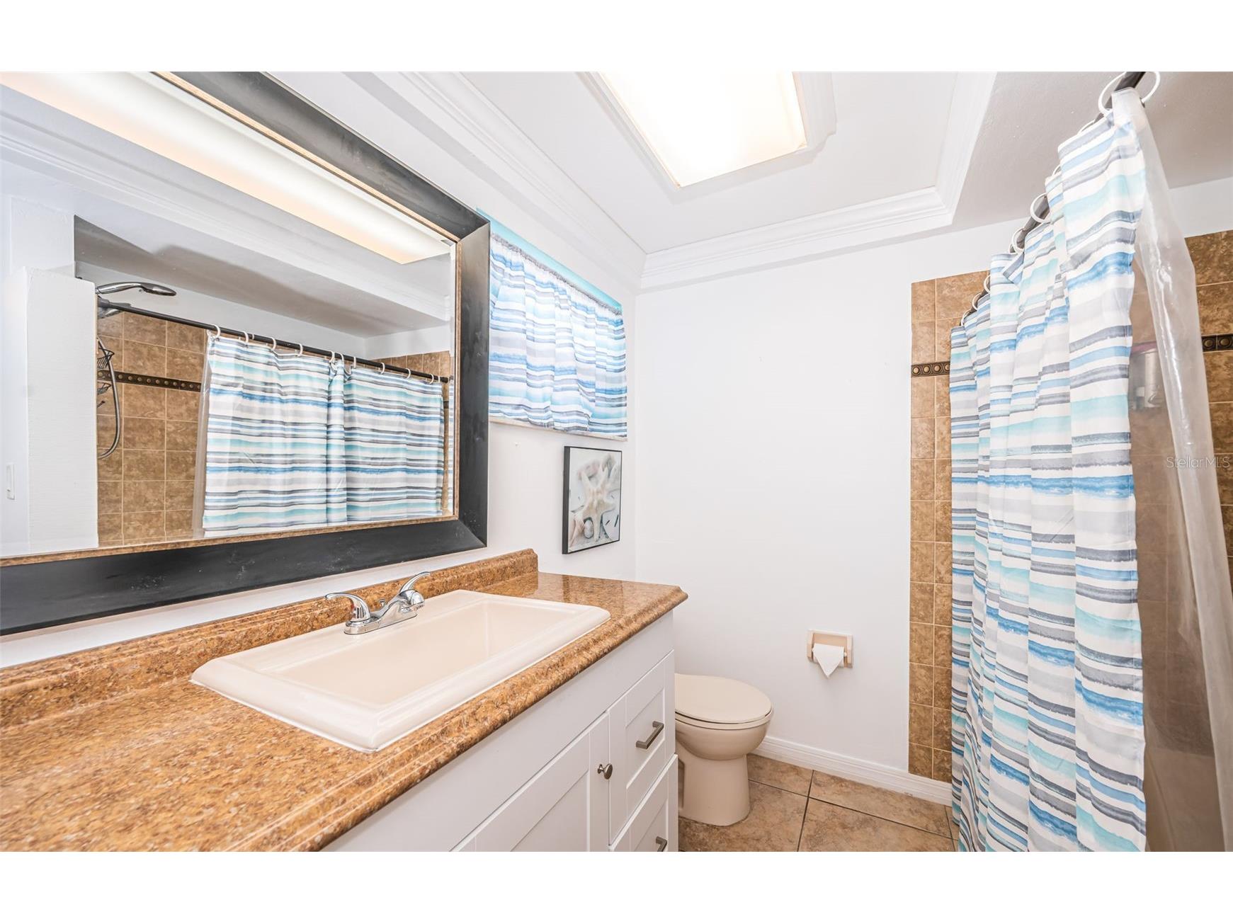 3627 Grayton Drive New Port Richey FL 34652 TB8406665 image37