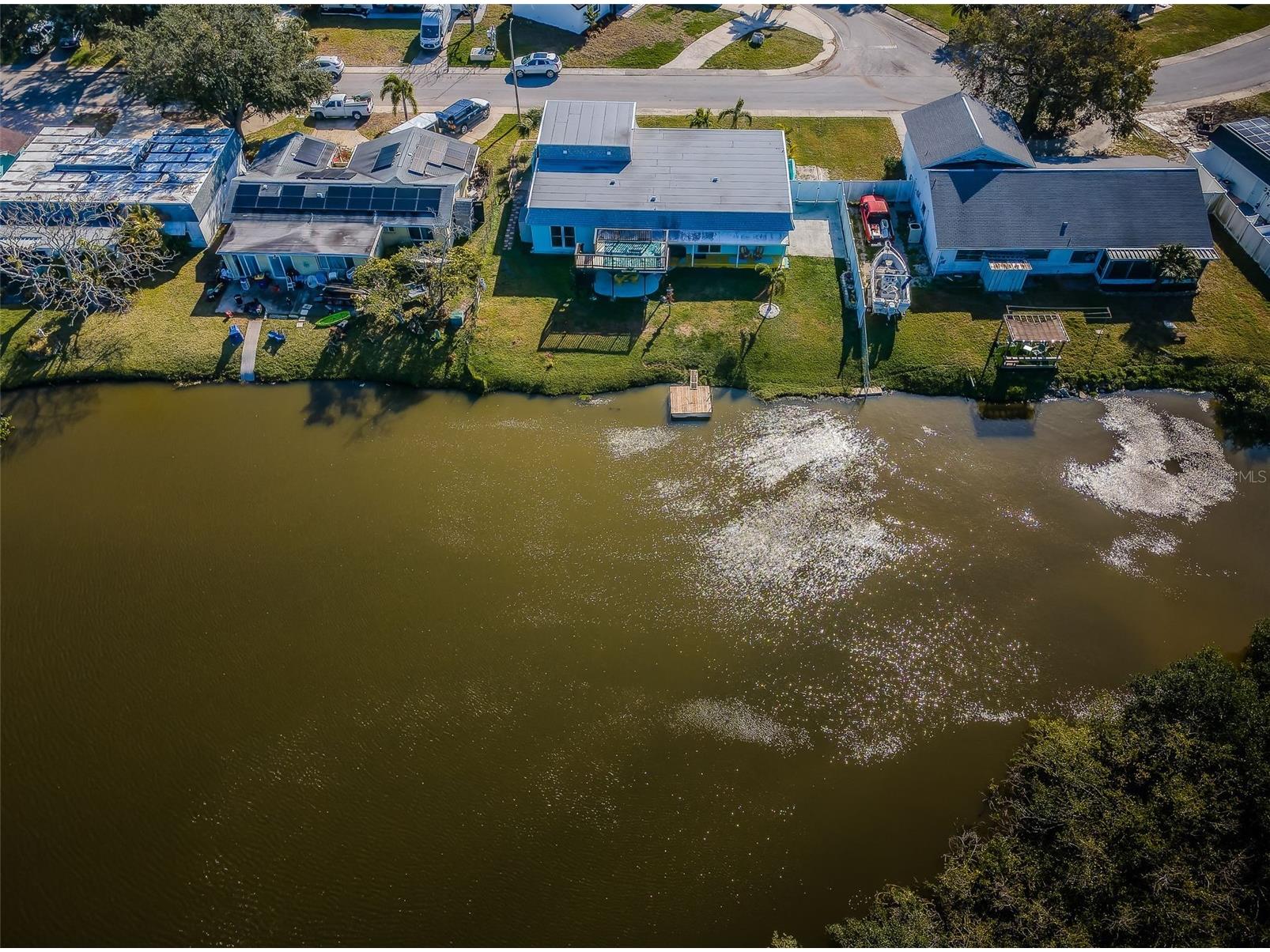 3627 Grayton Drive New Port Richey FL 34652 TB8406665 image49