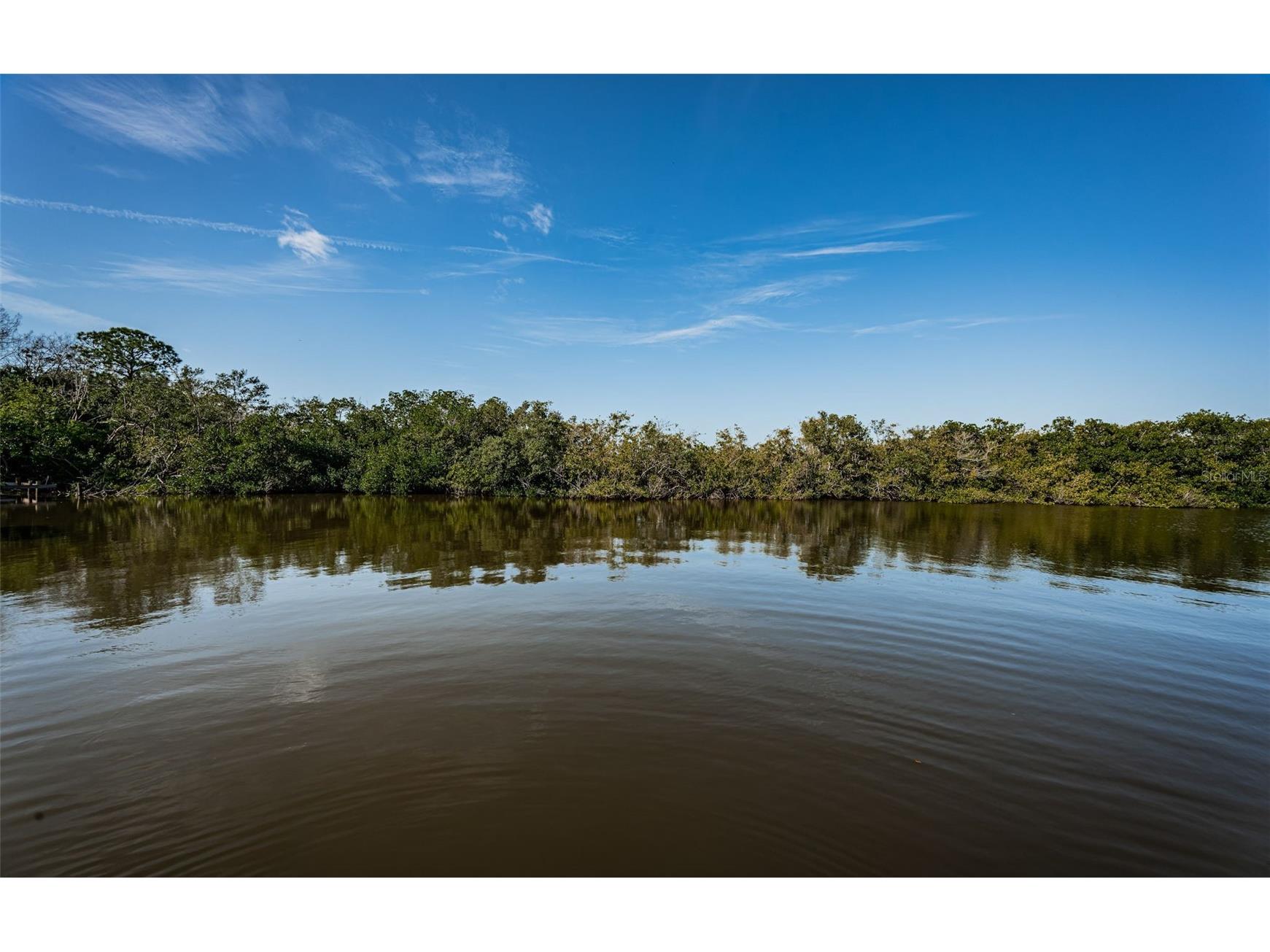 3627 Grayton Drive New Port Richey FL 34652 TB8406665 image55