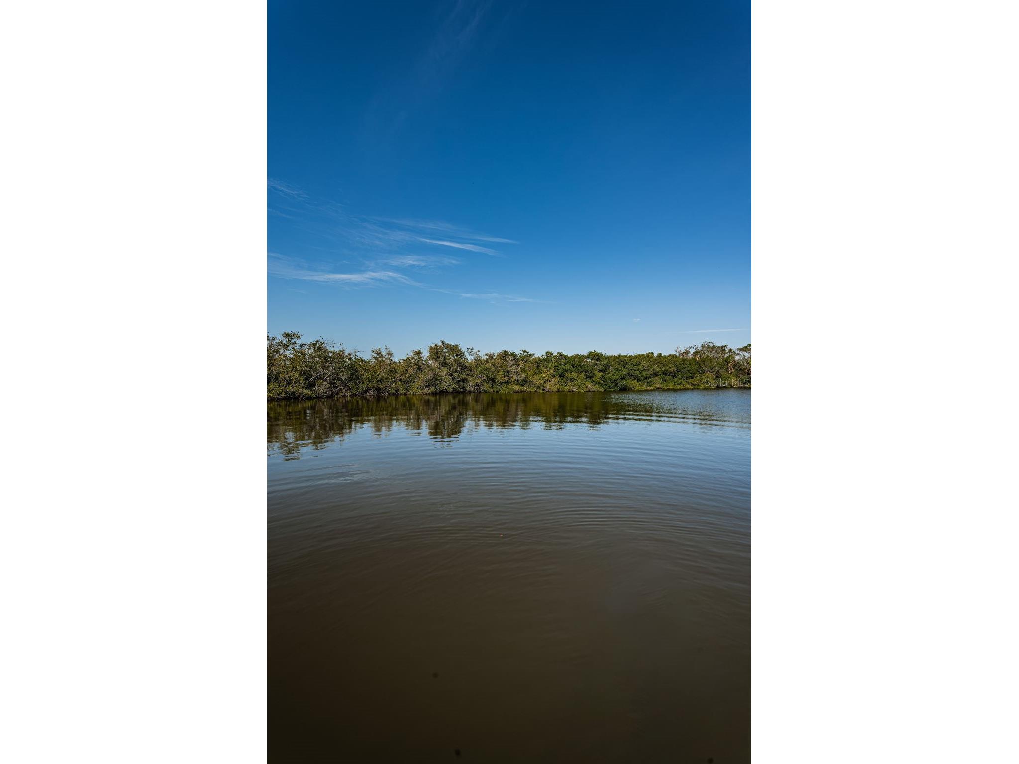 3627 Grayton Drive New Port Richey FL 34652 TB8406665 image56