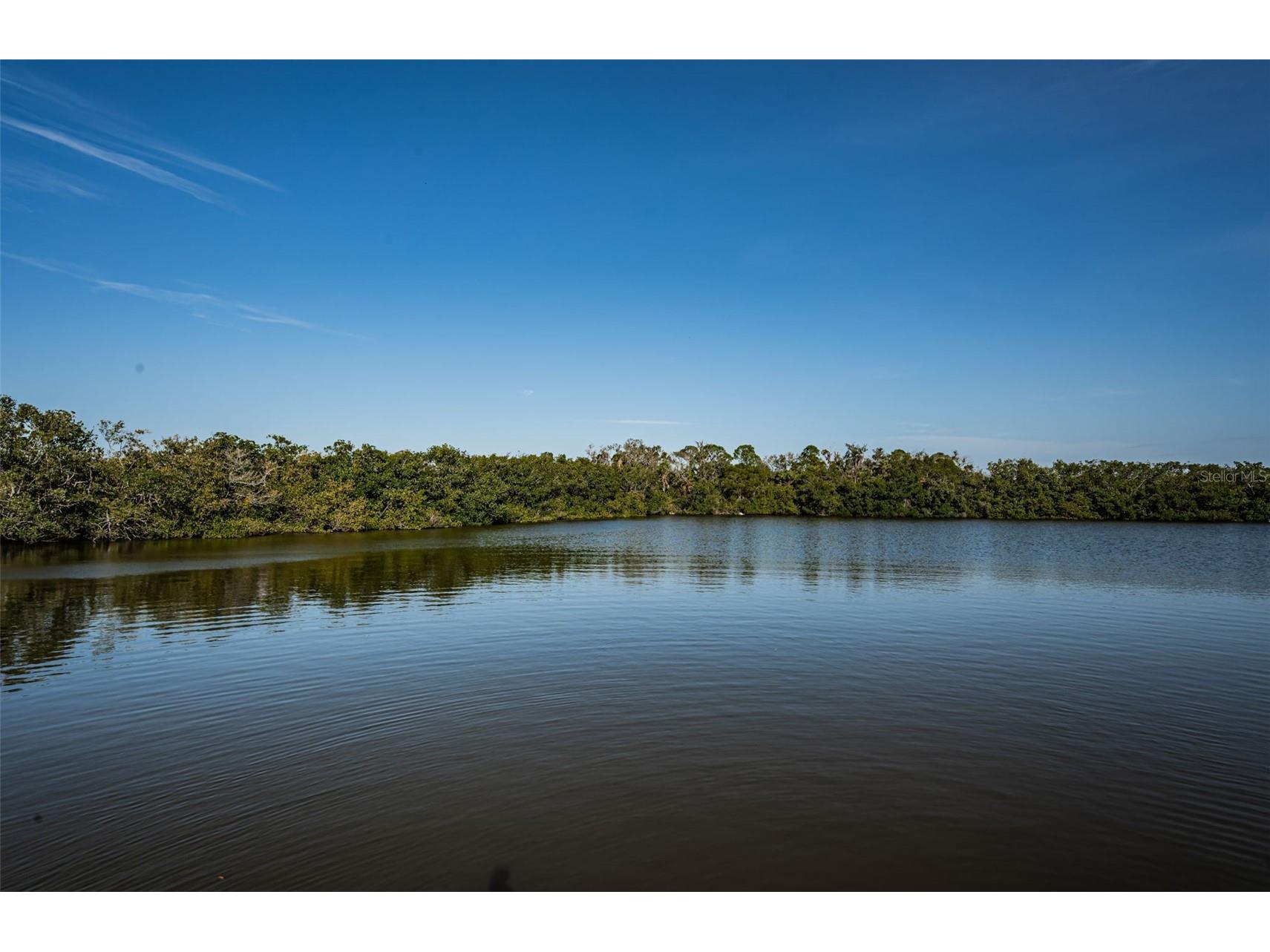 3627 Grayton Drive New Port Richey FL 34652 TB8406665 image57