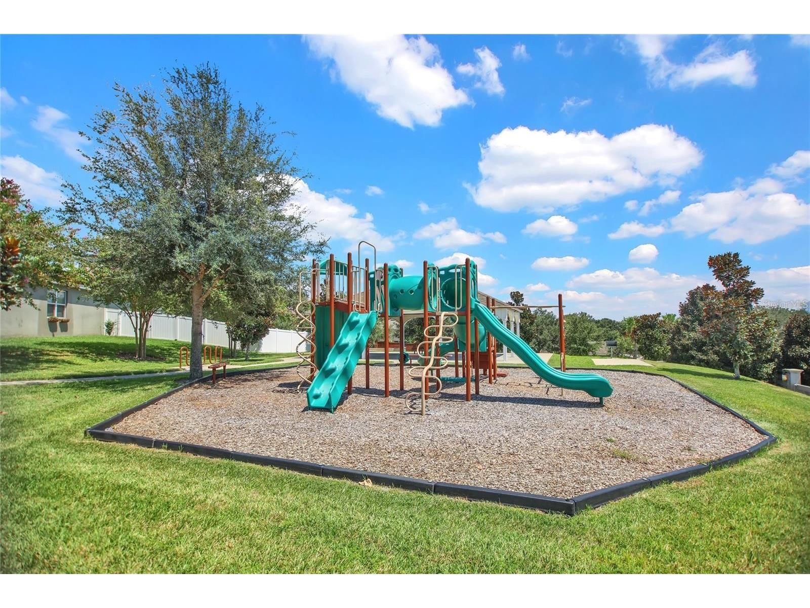 3627 Gretchen Drive Ocoee FL 34761 O6407875 image27