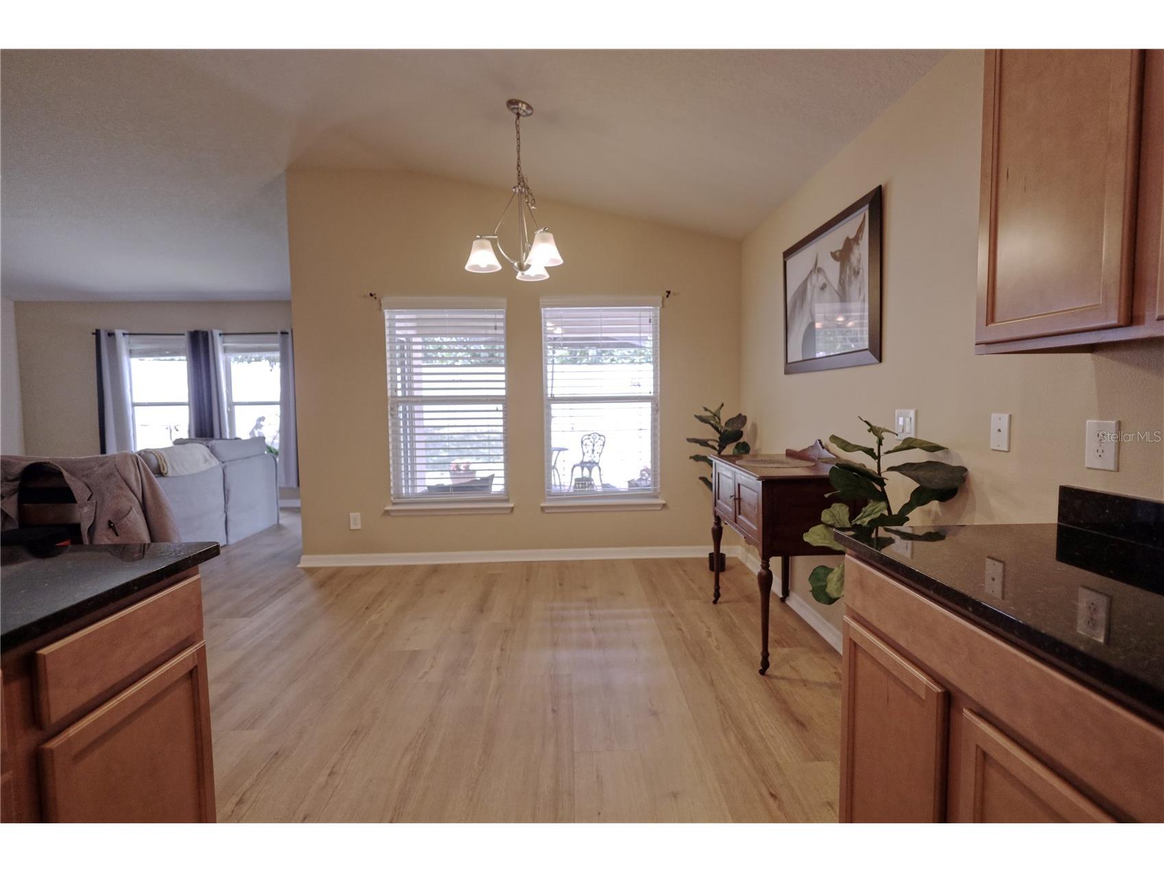 3627 Gretchen Drive Ocoee FL 34761 O6407875 image7