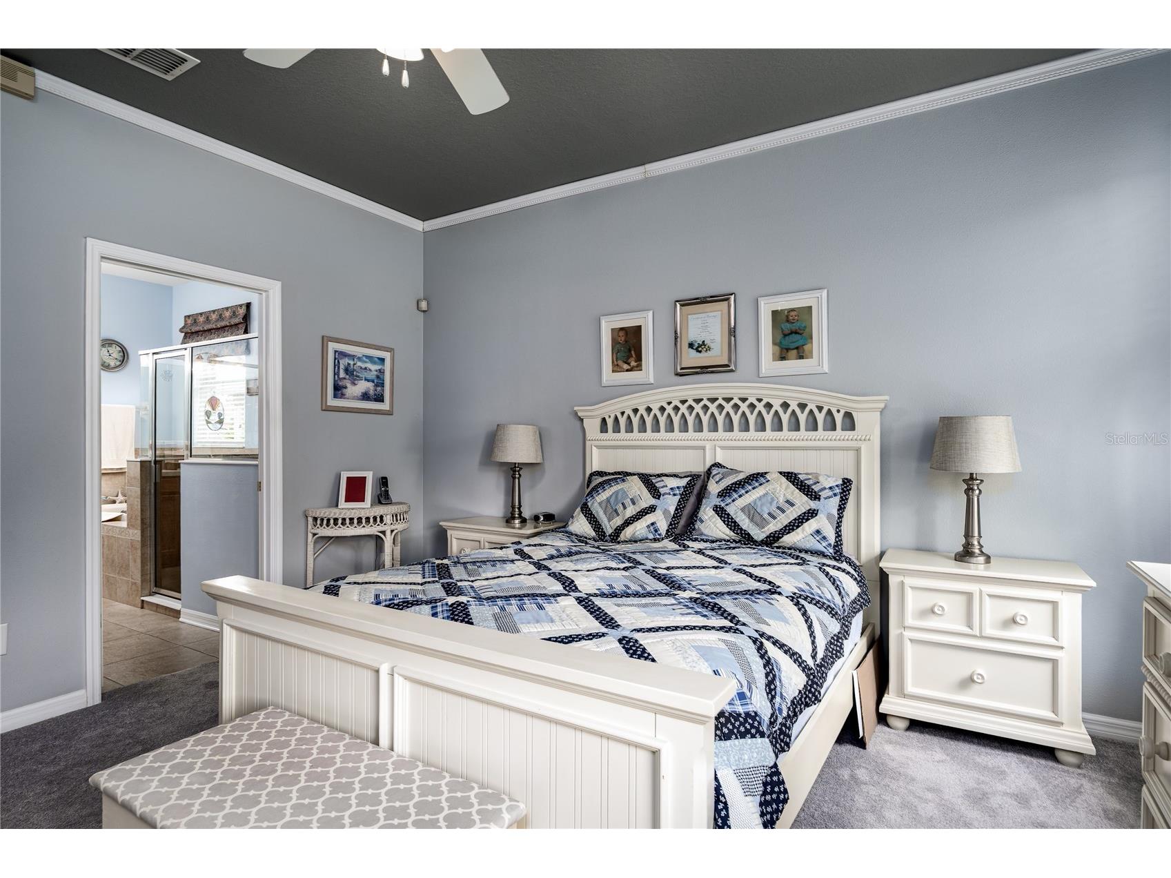 3628 101st Avenue E Parrish FL 34219 A4695504 image23