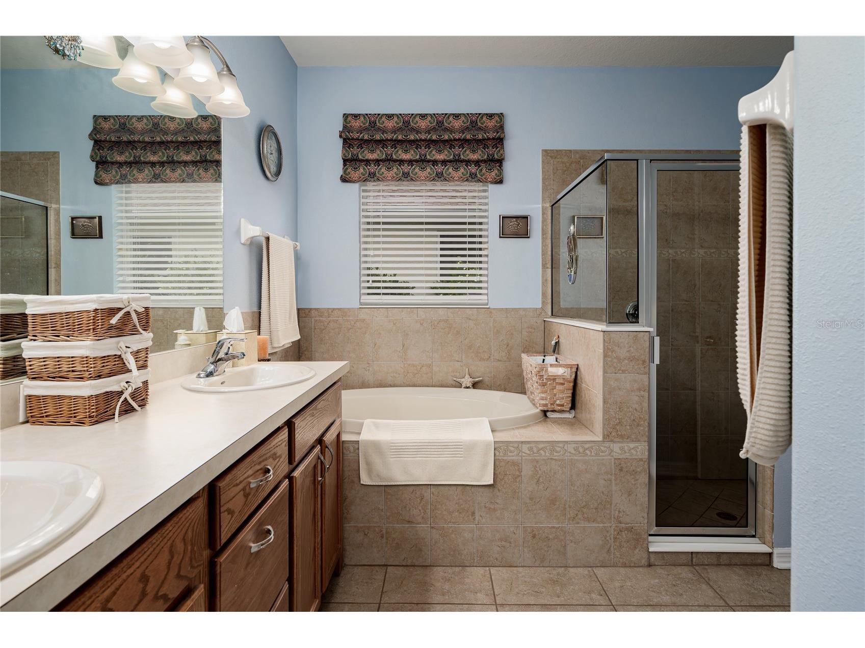 3628 101st Avenue E Parrish FL 34219 A4695504 image24