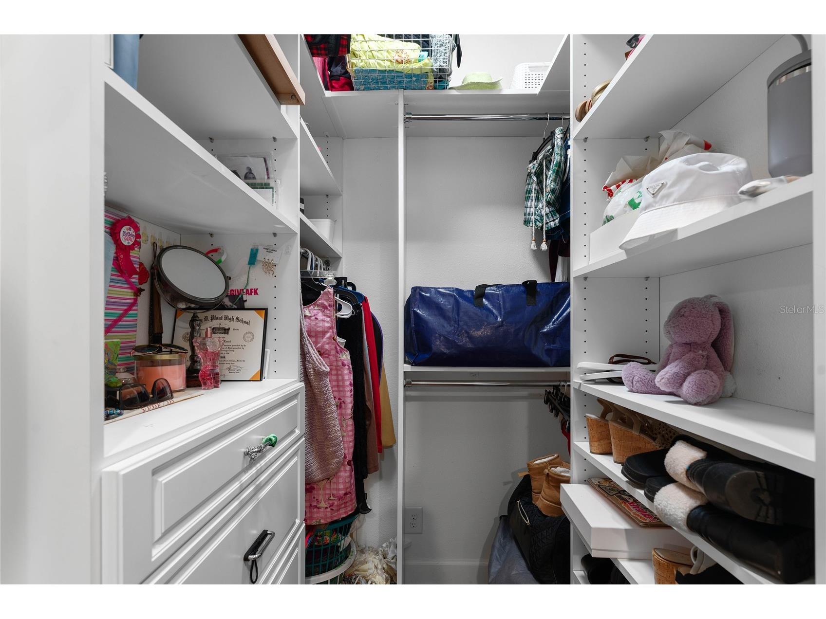 3628 S Renellie Drive Tampa FL 33629 TB8514927 image20