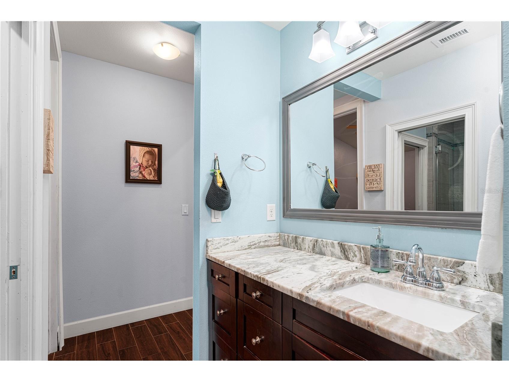 3628 S Renellie Drive Tampa FL 33629 TB8514927 image22