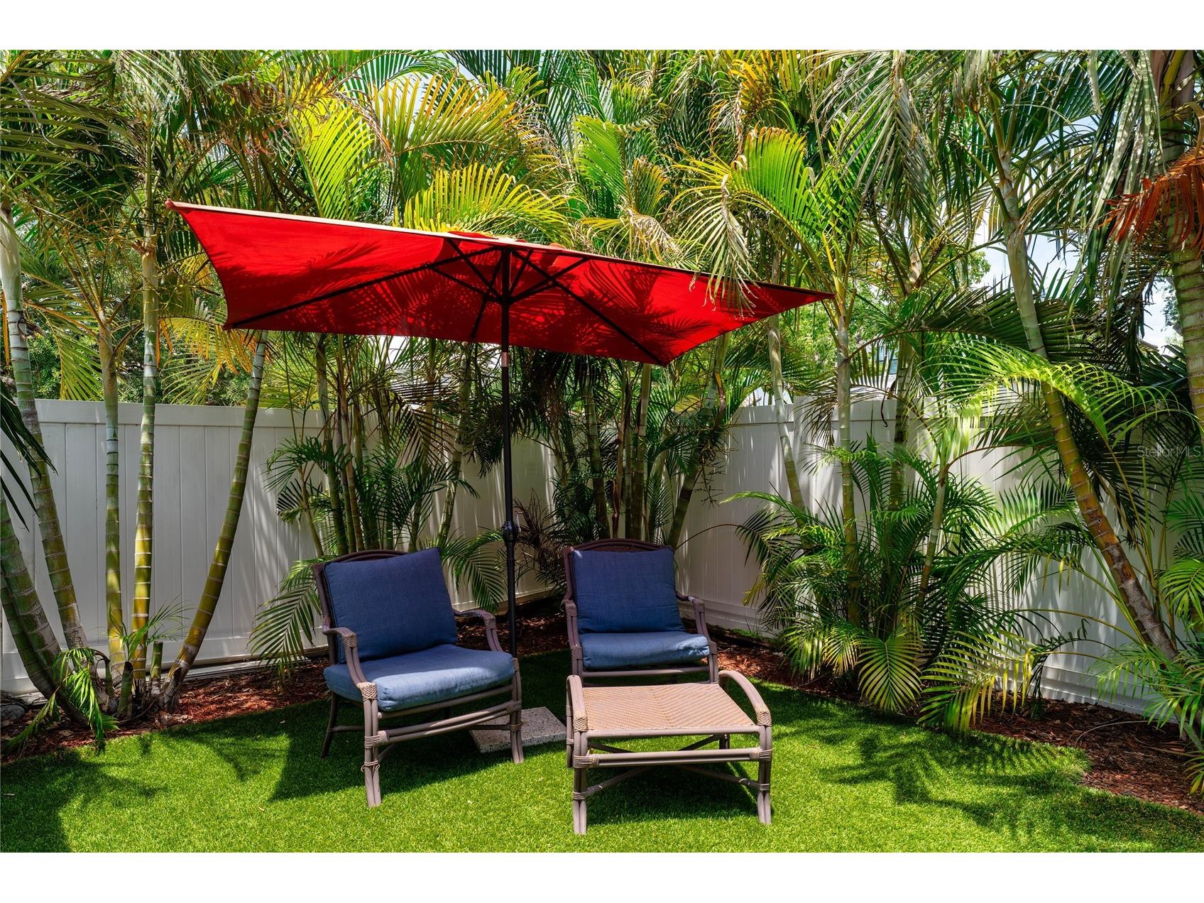 3628 S Renellie Drive Tampa FL 33629 TB8514927 image28
