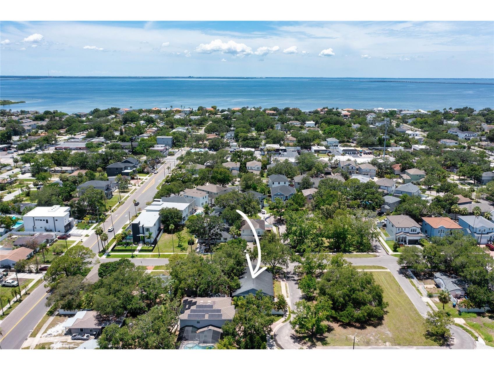 3628 S Renellie Drive Tampa FL 33629 TB8514927 image33