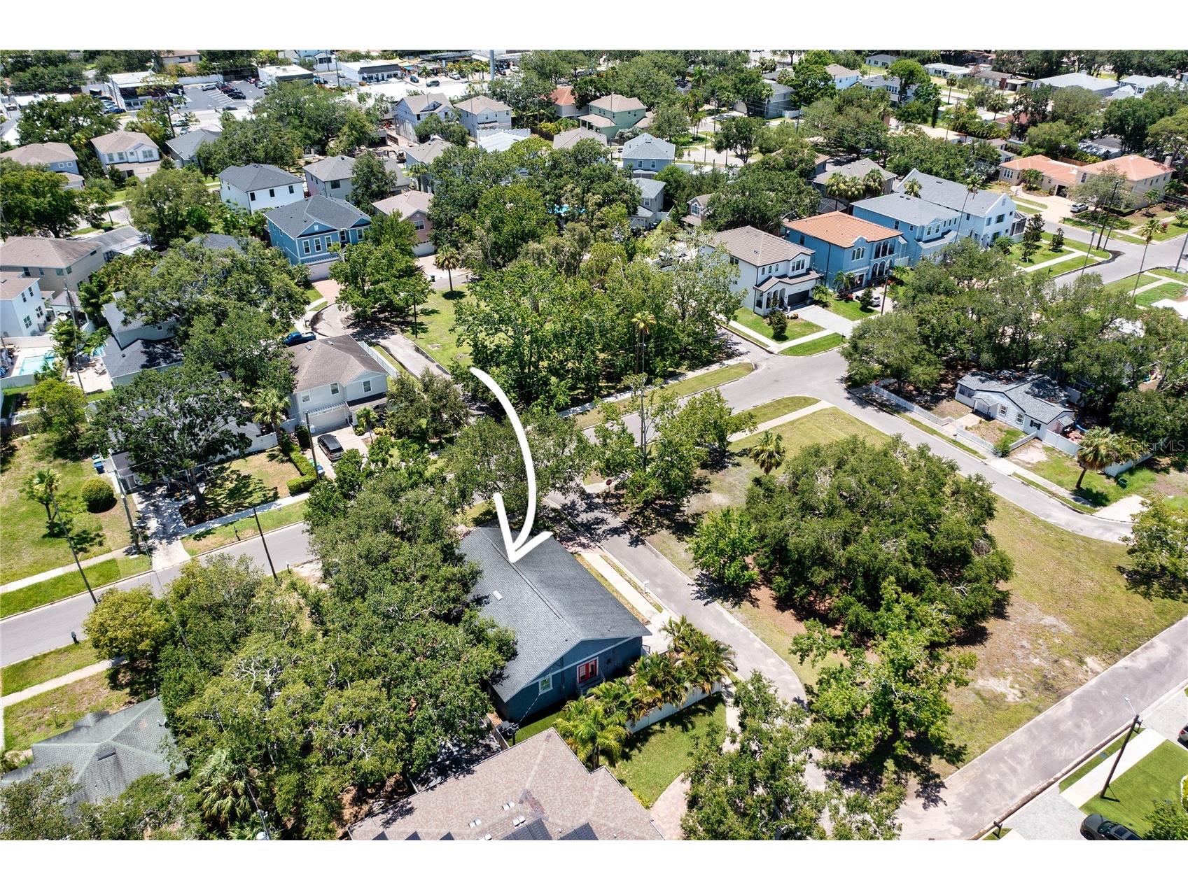 3628 S Renellie Drive Tampa FL 33629 TB8514927 image34