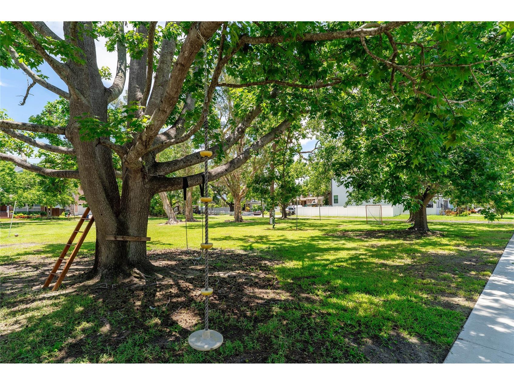 3628 S Renellie Drive Tampa FL 33629 TB8514927 image35