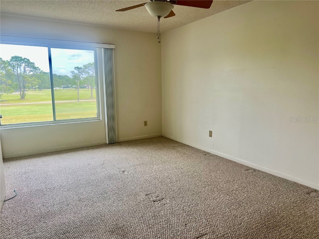 3629 Indigo Pond Drive #3629 Palm Harbor FL 34685 TB8365686 image17