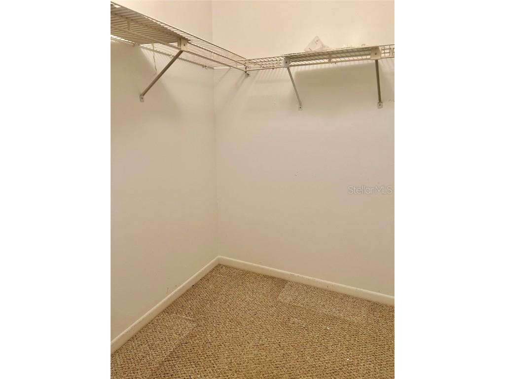 3629 Indigo Pond Drive #3629 Palm Harbor FL 34685 TB8365686 image21