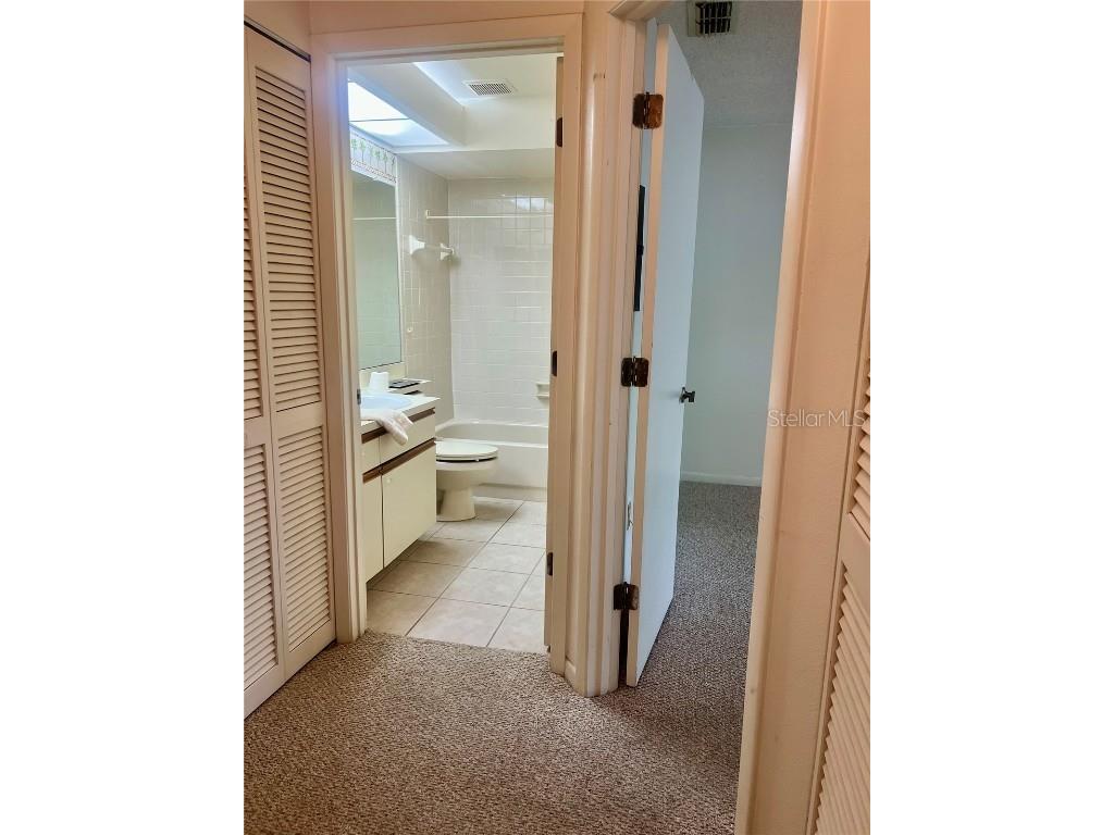 3629 Indigo Pond Drive #3629 Palm Harbor FL 34685 TB8365686 image24