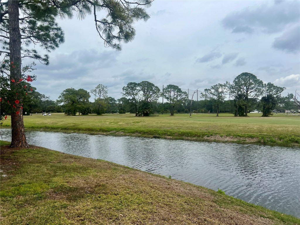 3629 Indigo Pond Drive #3629 Palm Harbor FL 34685 TB8365686 image39