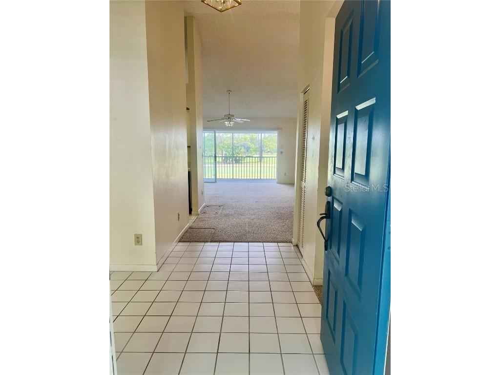 3629 Indigo Pond Drive #3629 Palm Harbor FL 34685 TB8365686 image4