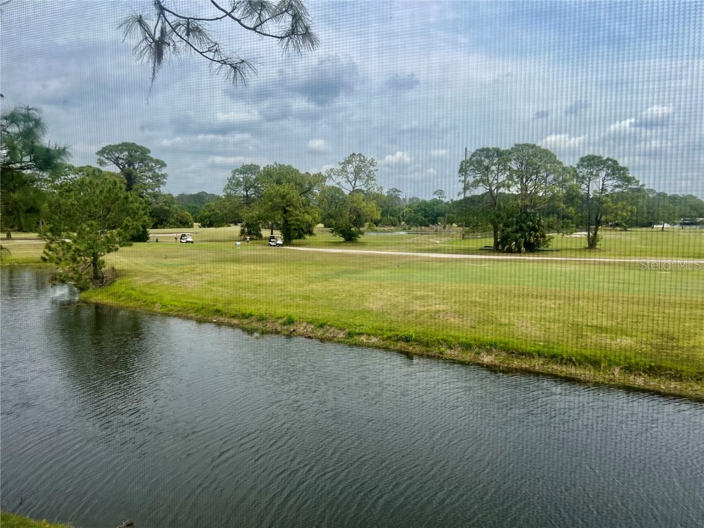 3629 Indigo Pond Drive #3629 Palm Harbor FL 34685 TB8365686 image40