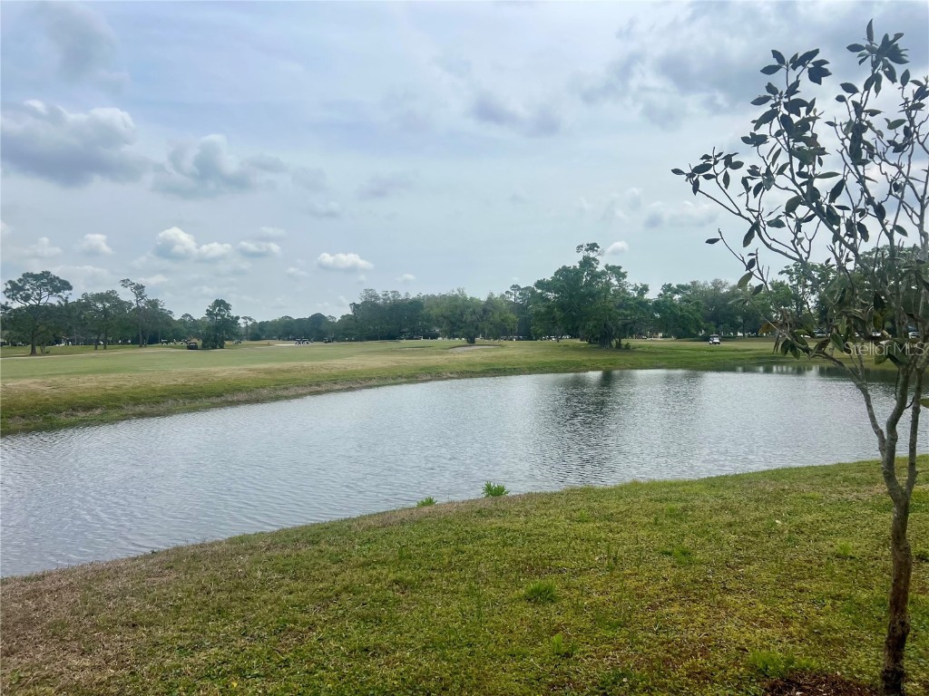 3629 Indigo Pond Drive #3629 Palm Harbor FL 34685 TB8365686 image41