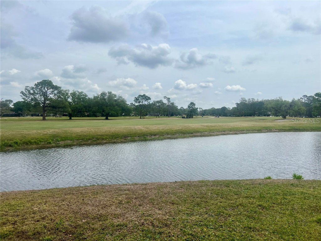 3629 Indigo Pond Drive #3629 Palm Harbor FL 34685 TB8365686 image42