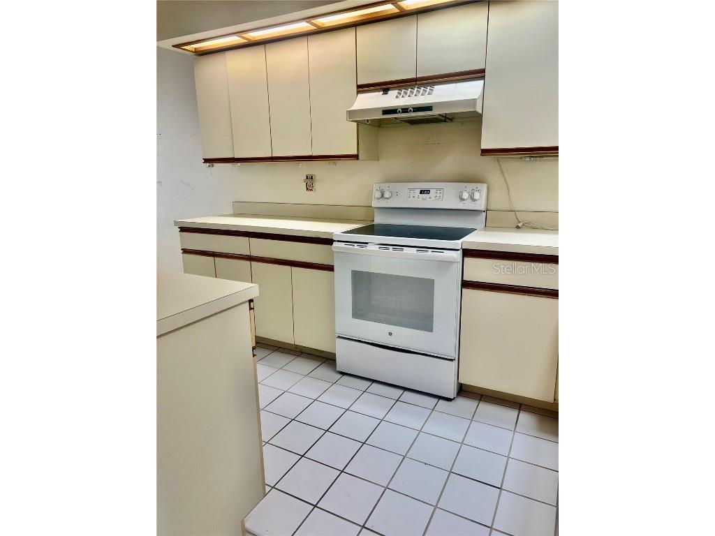 3629 Indigo Pond Drive #3629 Palm Harbor FL 34685 TB8365686 image7