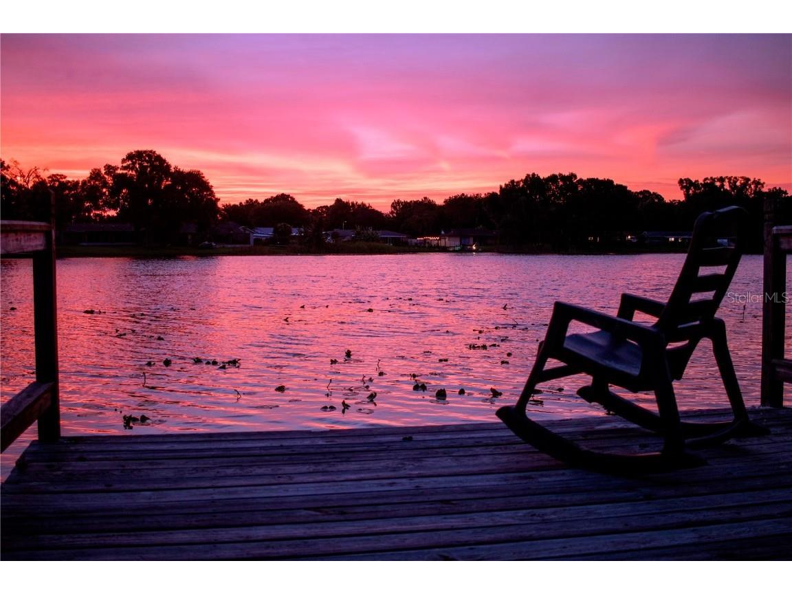 3629 Lake Breeze Drive Land O Lakes FL 34639 - LAKE JOYCE TB8378634 image1