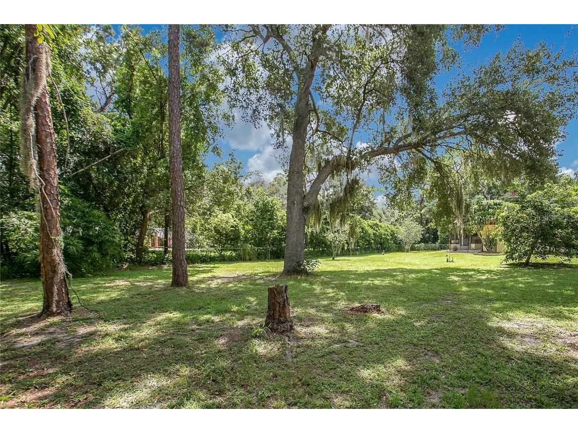 3629 Lake Buynak Road Windermere FL 34786 - LAKE BUYNAK G5099846 image32